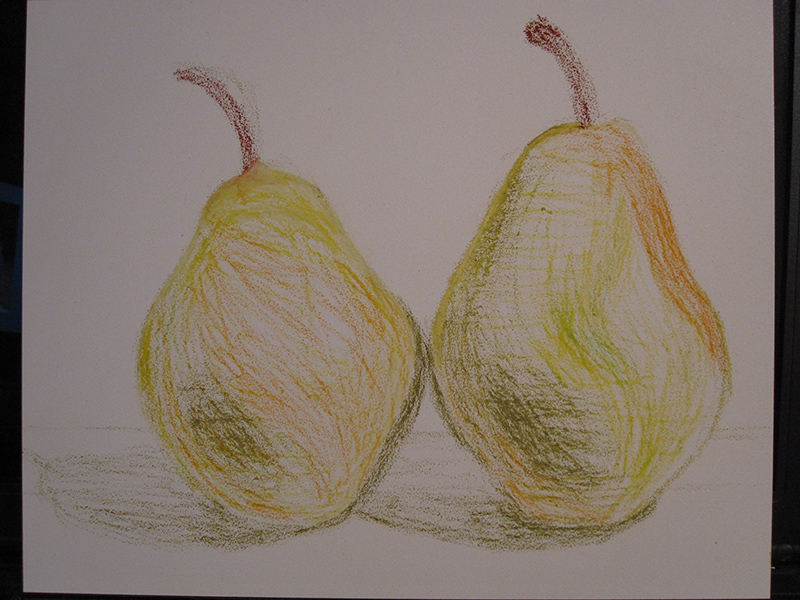 Pears in Oil Pastels - first sketch